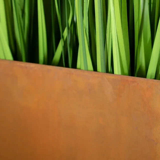 Kanpoko hesien funtzioa.