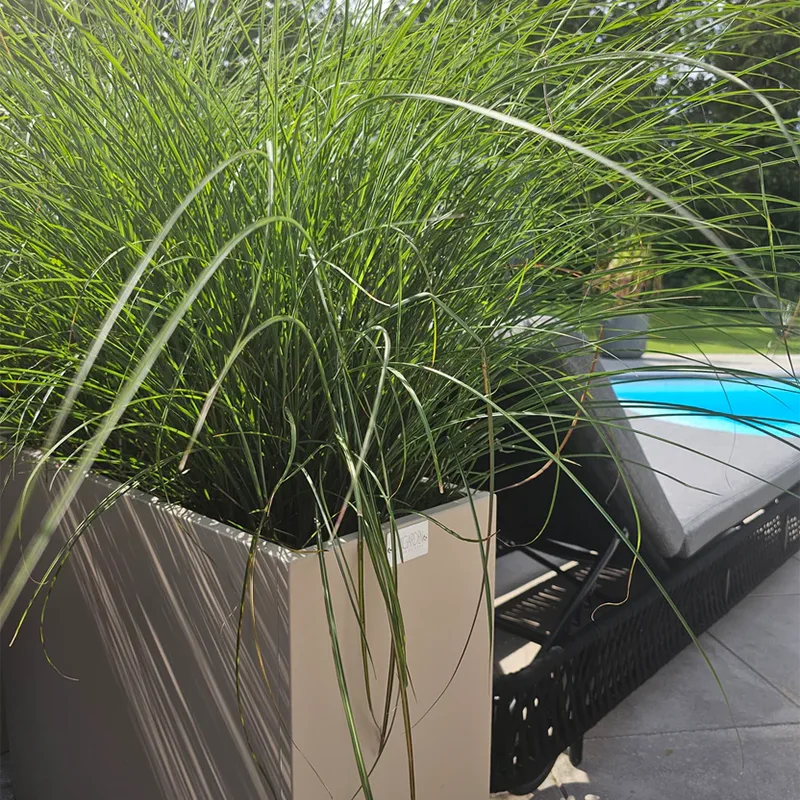 Rectangular Outdoor Planter with Drainage Holes